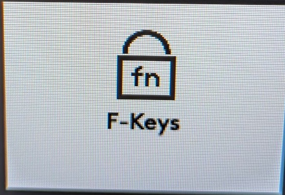 How to turn on Fn Lock – M.S. Walker Inc.